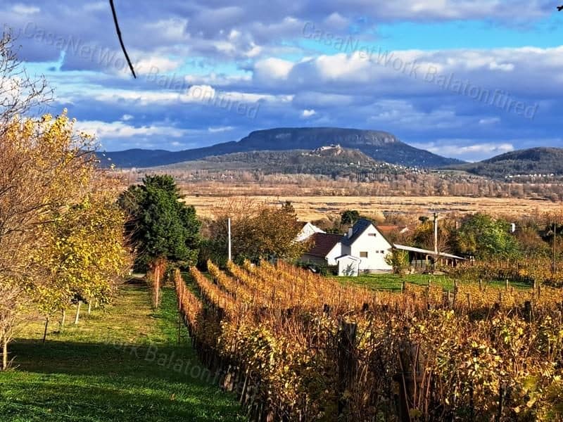 Weinberg mit Panoramablick bei Balatonederics